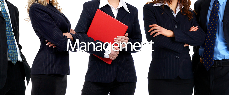 dig planning innovation Management